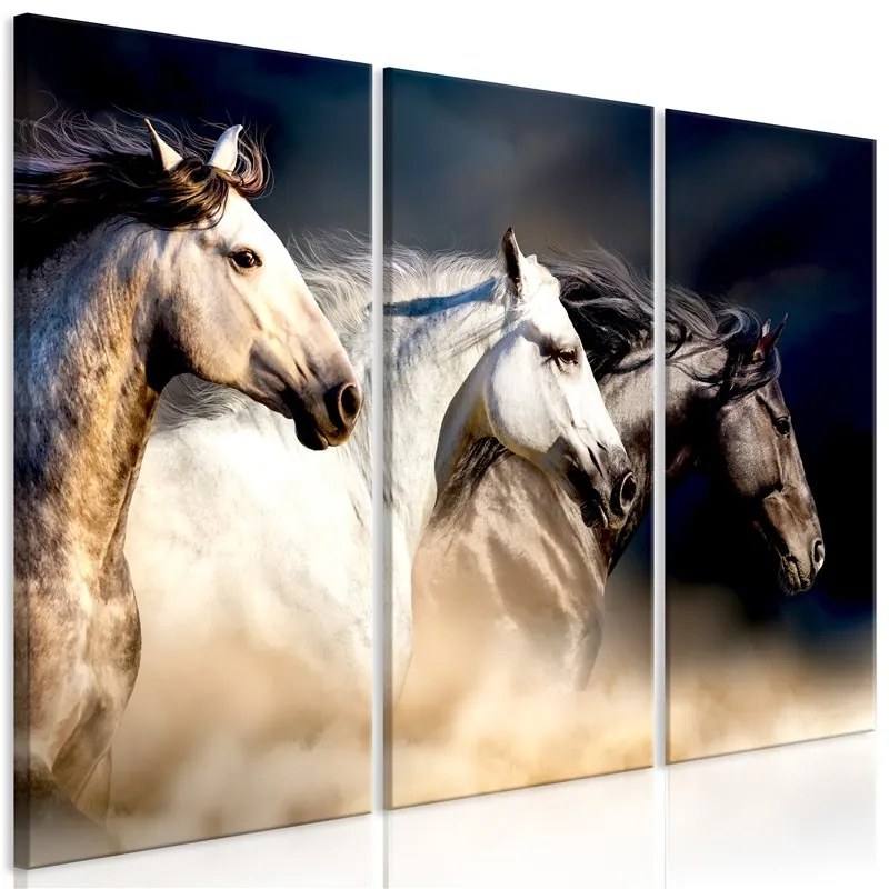 Quadro Sons of the Wind (3 Parts)  Colore Bianco, Dimensioni e Misure 120x80