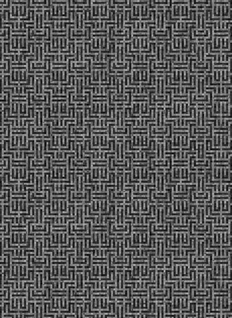 Coordonne Carta da parati Geometricum - Coal