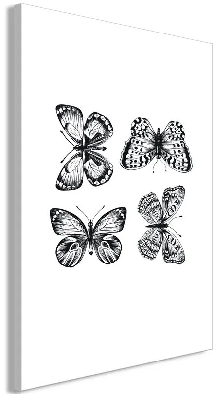 Quadro Four Butterflies (1 Part) Vertical  Colore bianco e nero, Dimensioni e Misure 80x120