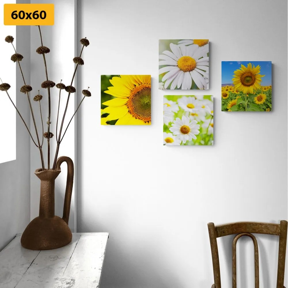 Set di quadri – Splendidi fiori nel prato