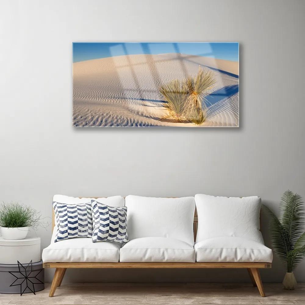 Quadro su vetro acrilico Paesaggio di sabbia del deserto 100x50 cm