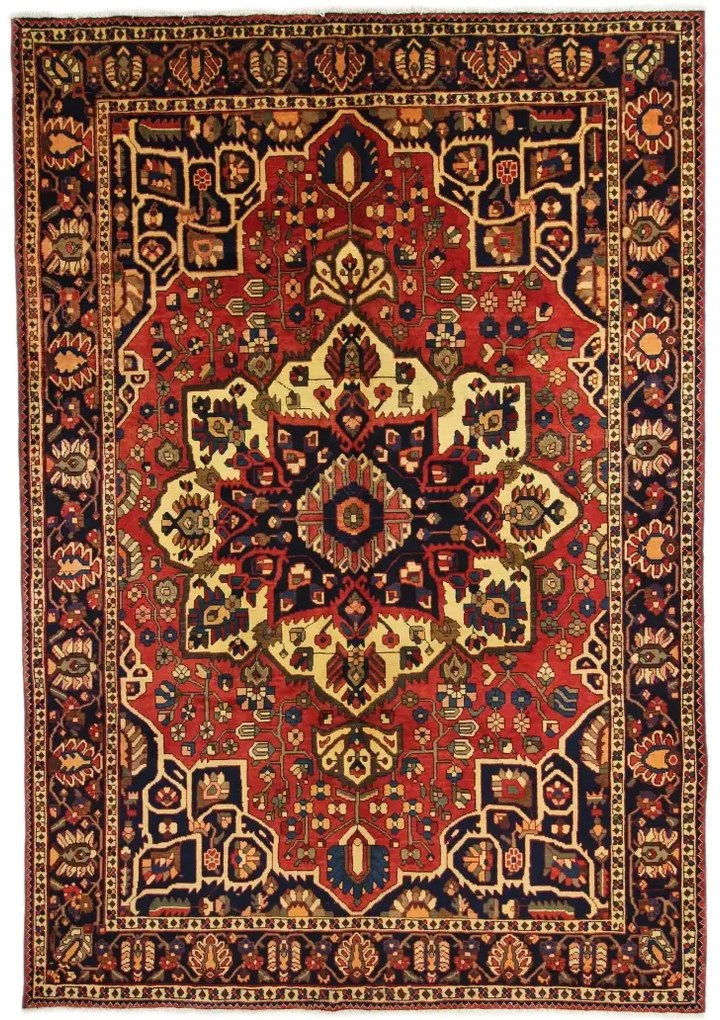Bakhtiar Tappeto persiano 220x310 (Iran)