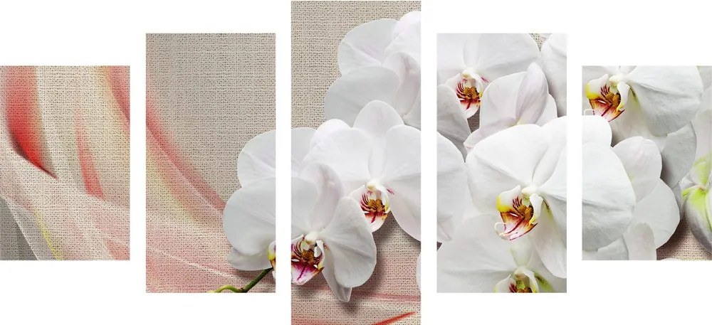 Quadri 5 pezzi – Orchidea bianca su tela