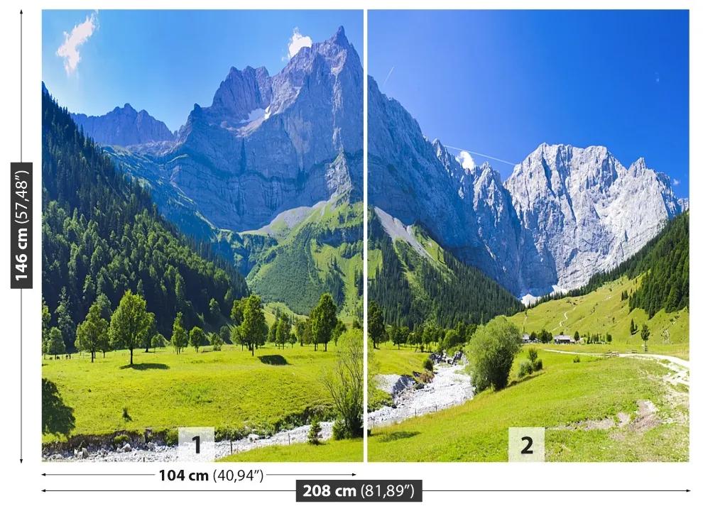 Carta da parati Panorama delle Alpi 104x70 cm