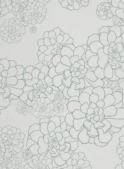 Paint & Paper Library Carta da parati Aeonium - Blue Gum