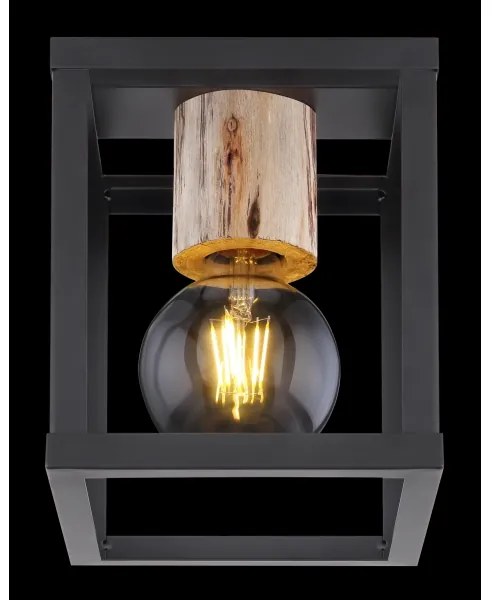 Globo 15476D - Plafoniera HAGAR 1xE27/60W/230V