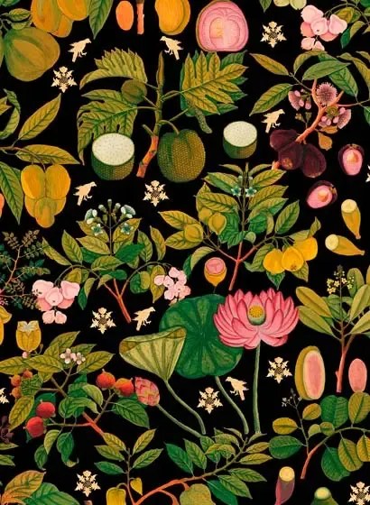 Mindthegap Carta da parati Asian Fruits and Flowers - Anthracite