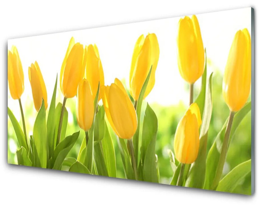 Quadro su vetro acrilico Tulipani, fiori, piante 100x50 cm