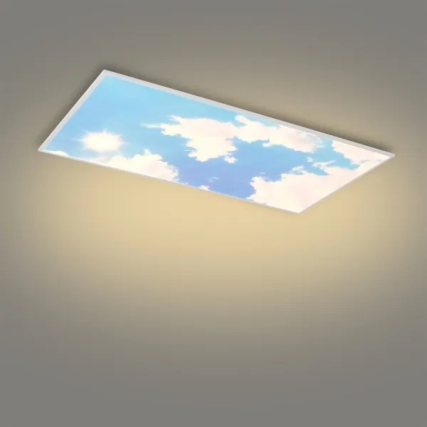 Brilagi - plafoniera LED dimmerabile SLIMFRAME SKY LED/80W/230V 120x60 cm argento/blu + telecomando