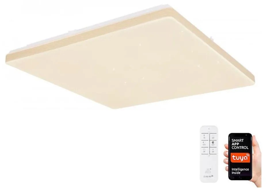 Globo 48025WSH - Plafoniera LED Dimmerabile LED/24W/230V Wi-Fi Tuya + TC