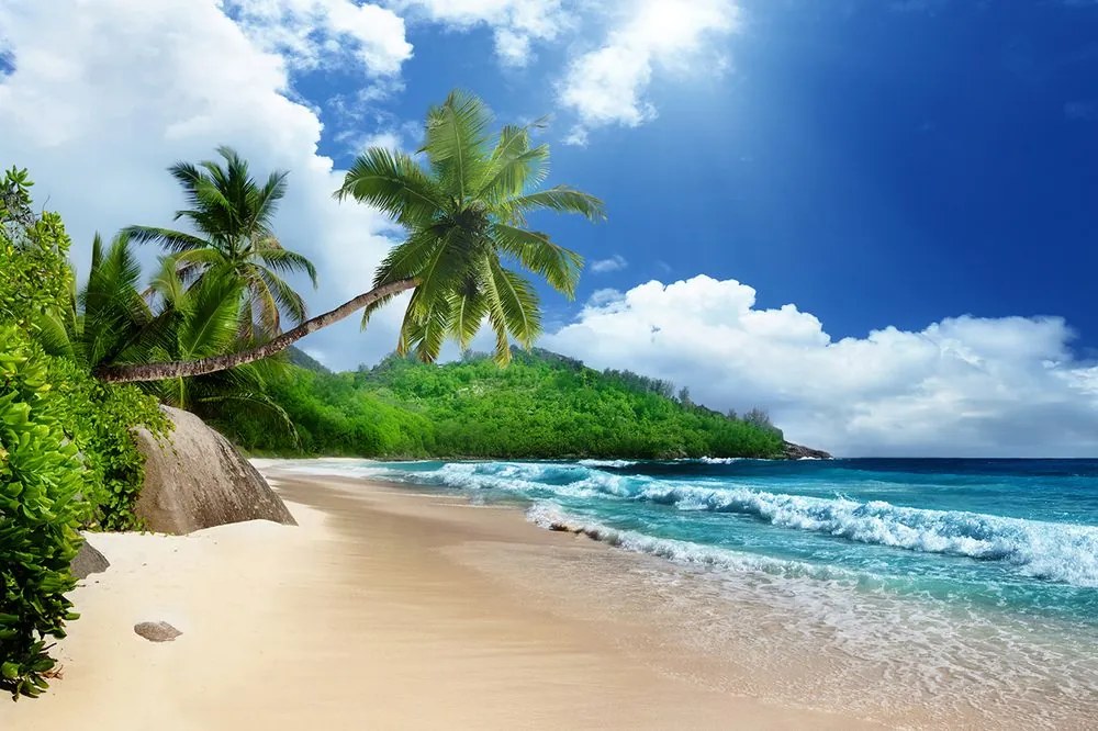 Carta da parati – Splendida spiaggia sull'isola di Seychelles