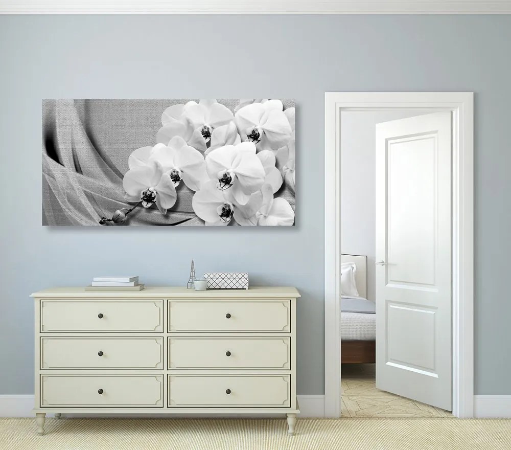 Stampa su tela – Orchidea su tela in bianco e nero