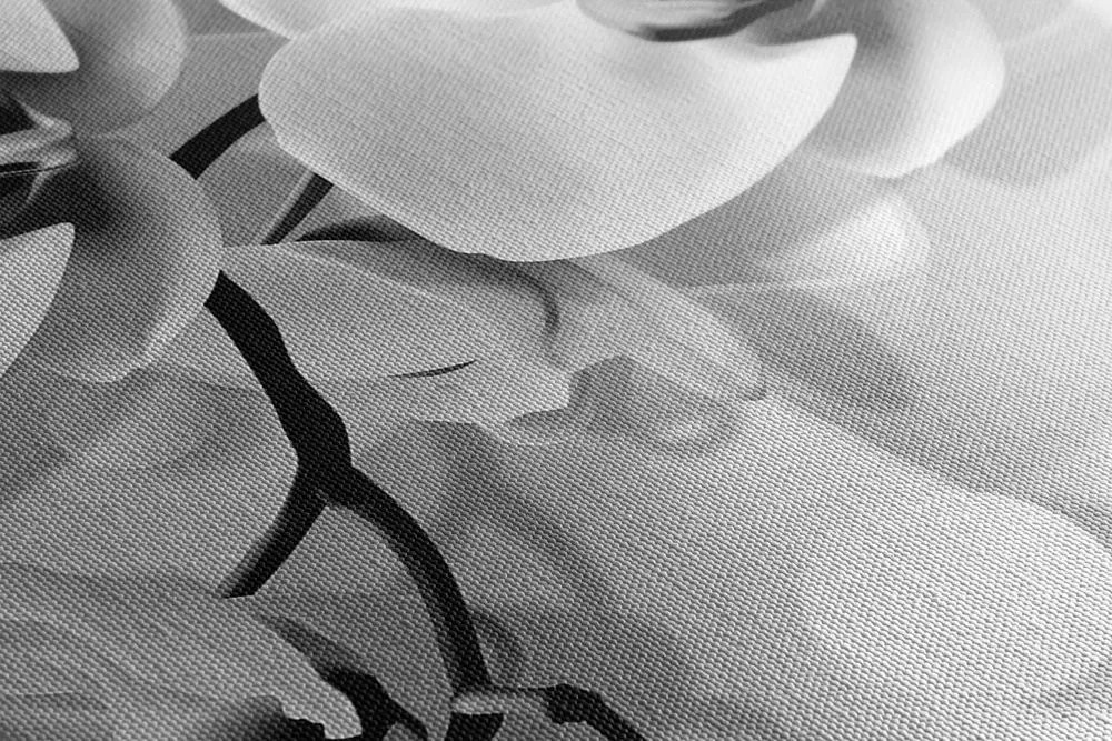 Stampa su tela – Orchidea in bianco e nero su sfondo astratto