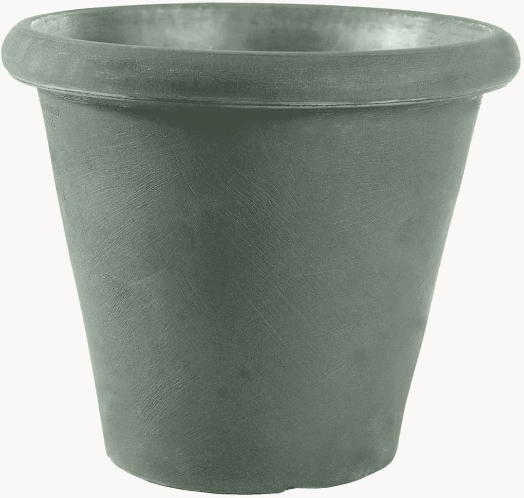 Portavaso Camelia