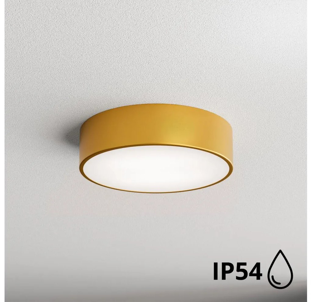 Brilagi - Plafoniera da bagno CLARE 2xE27/24W/230V diametro 30 cm IP54 oro