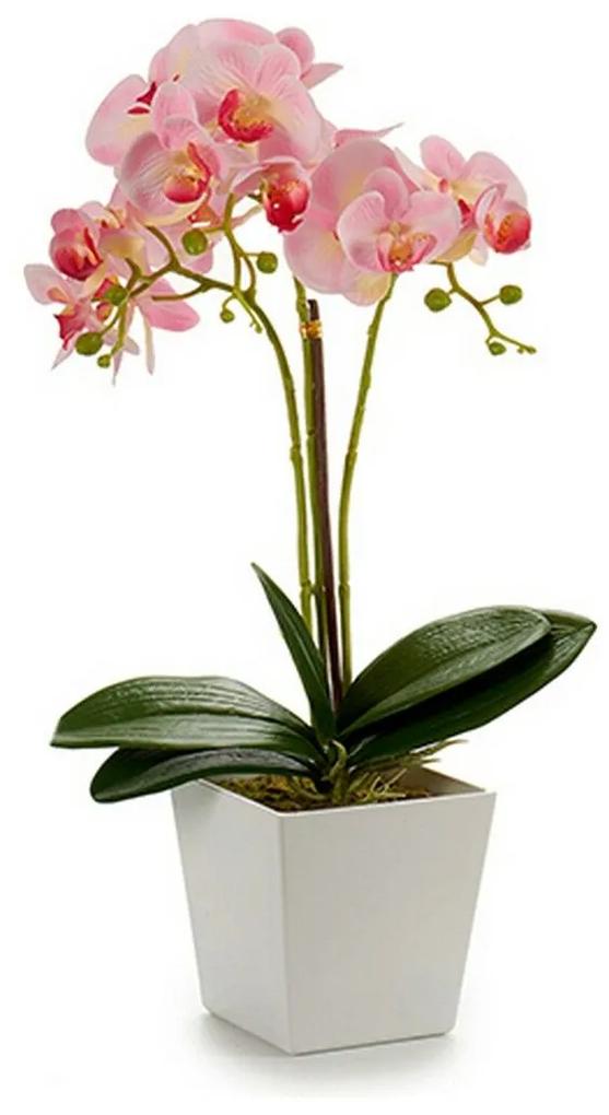 Pianta Decorativa Orchidea 20 x 47 x 33 cm Plastica (4 Unità)