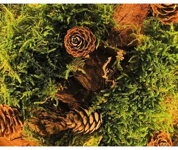 Li-Go 23654 - Decorazione da tavolo dimmerabile LED/12W/230V 20x22 cm muschio