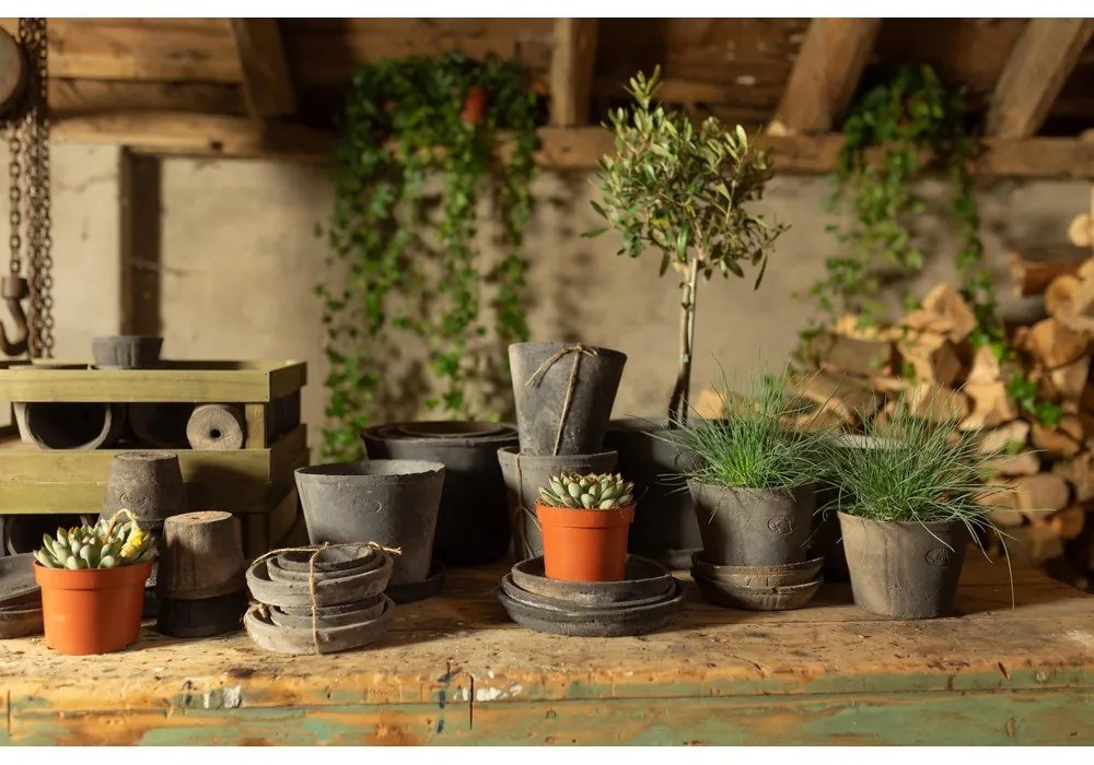 Piattini per vasi in set di 3 pezzi in terracotta ø 10 cm - Esschert Design