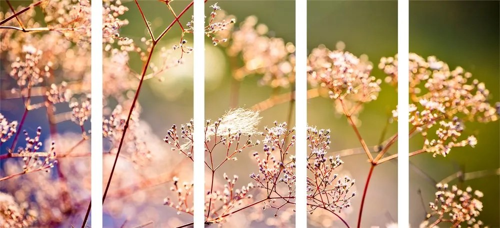 Quadri 5 pezzi – Natura morta di fiori
