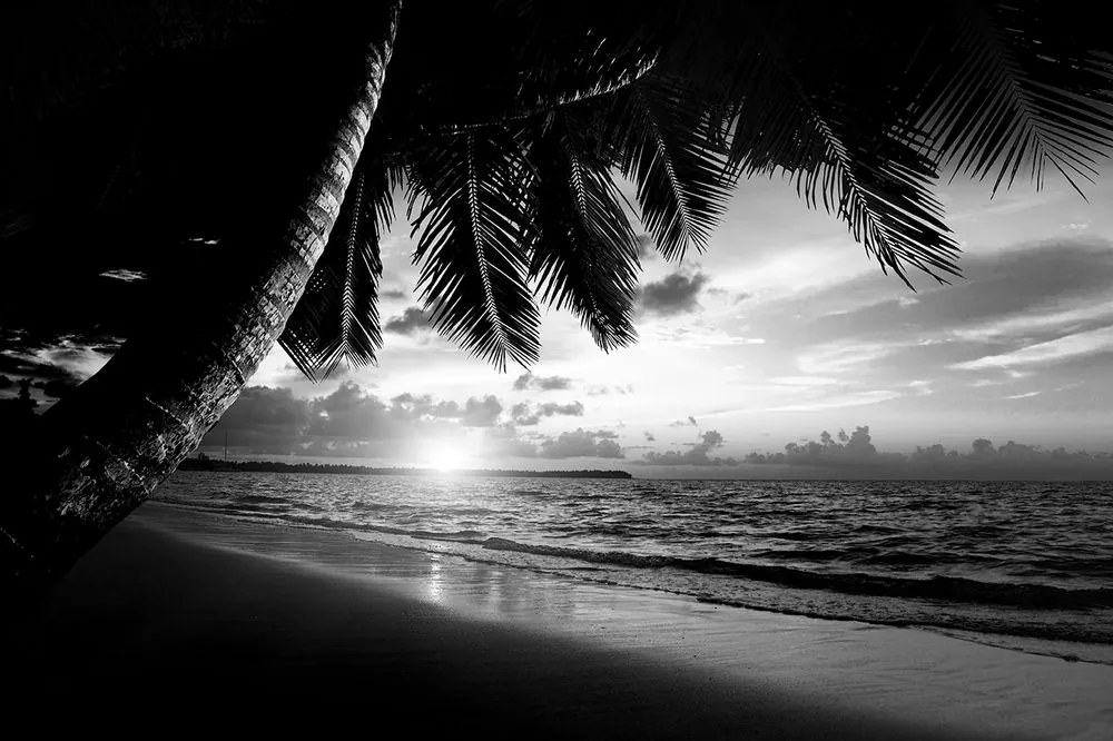 Carta da parati – Spiaggia caraibica in bianco e nero