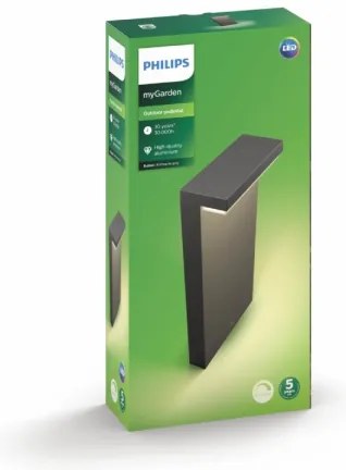 Philips 16485/93/P0 - Lampada LED da esterno BUSTAN 2xLED/4,5W/230V IP44