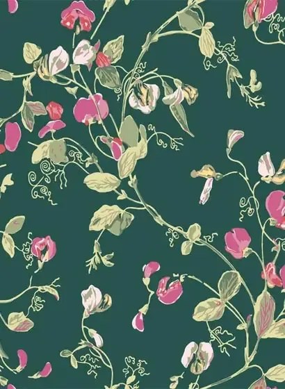 Cole & Son Carta da parati Sweet Pea - Pink/ Green