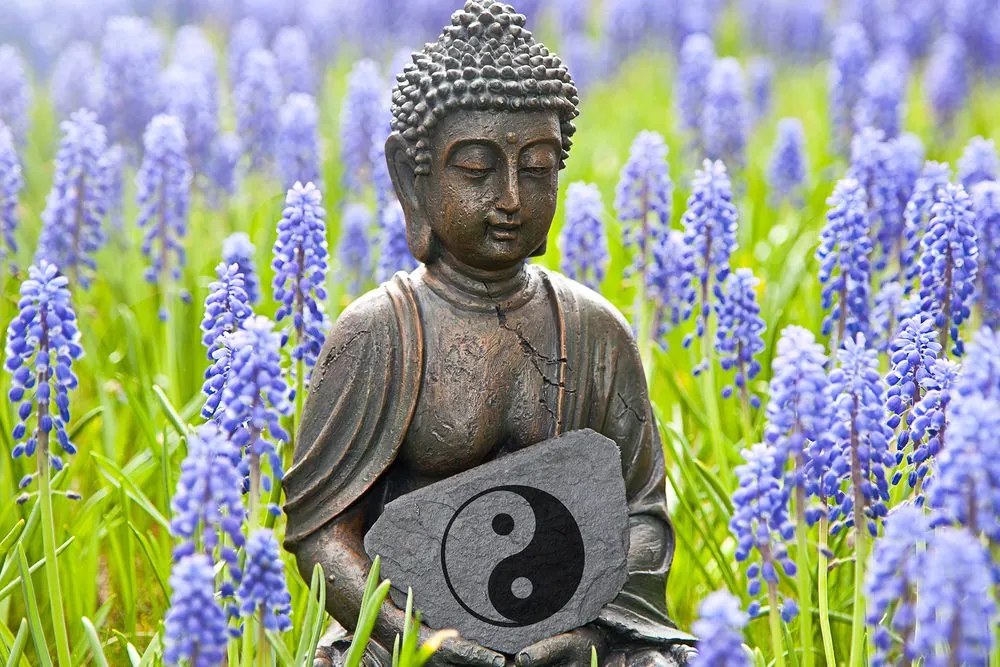 Stampa su tela – Buddha del Jin e Jang