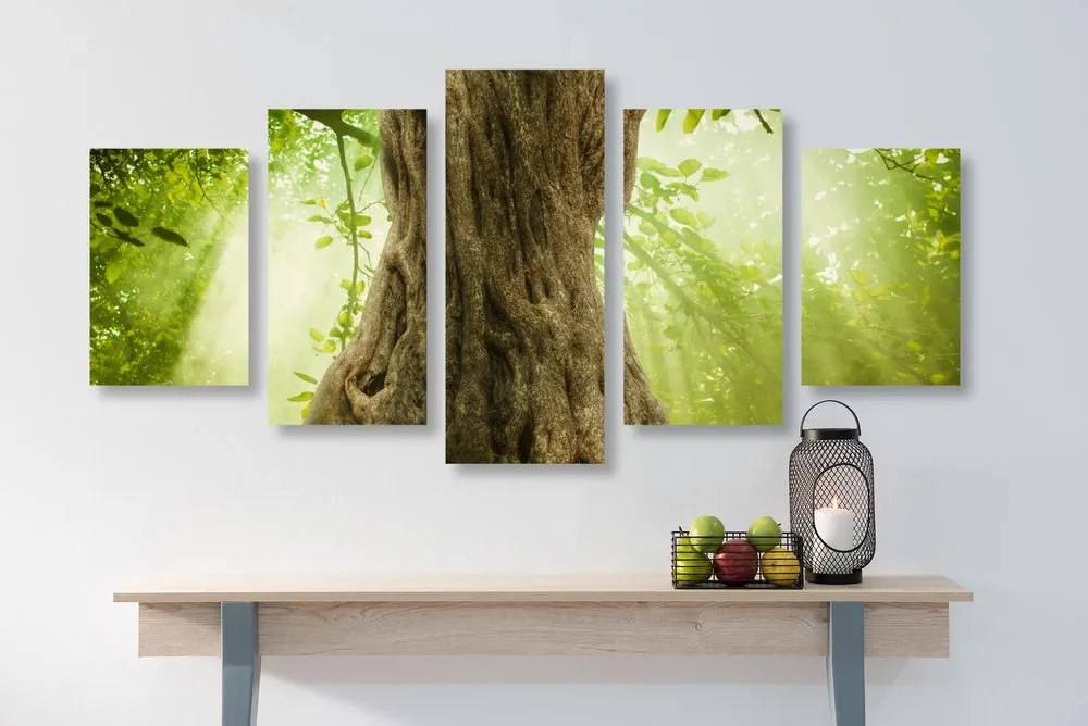 Quadri 5 pezzi – Radice dell'albero