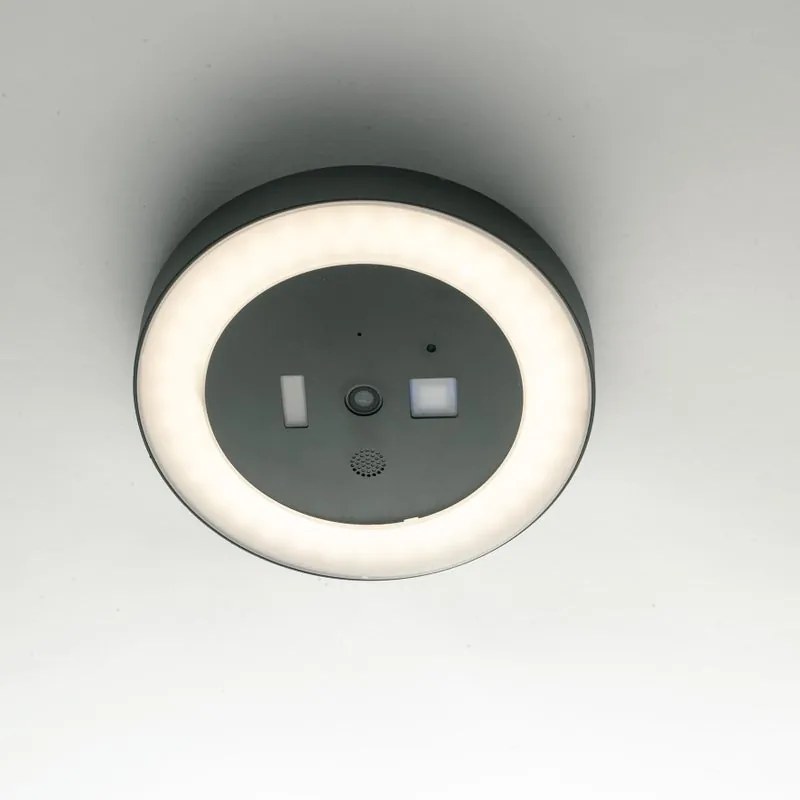 Plafoniera LED da esterno Zoom, grigio Ø 30 cm, luce naturale IP54