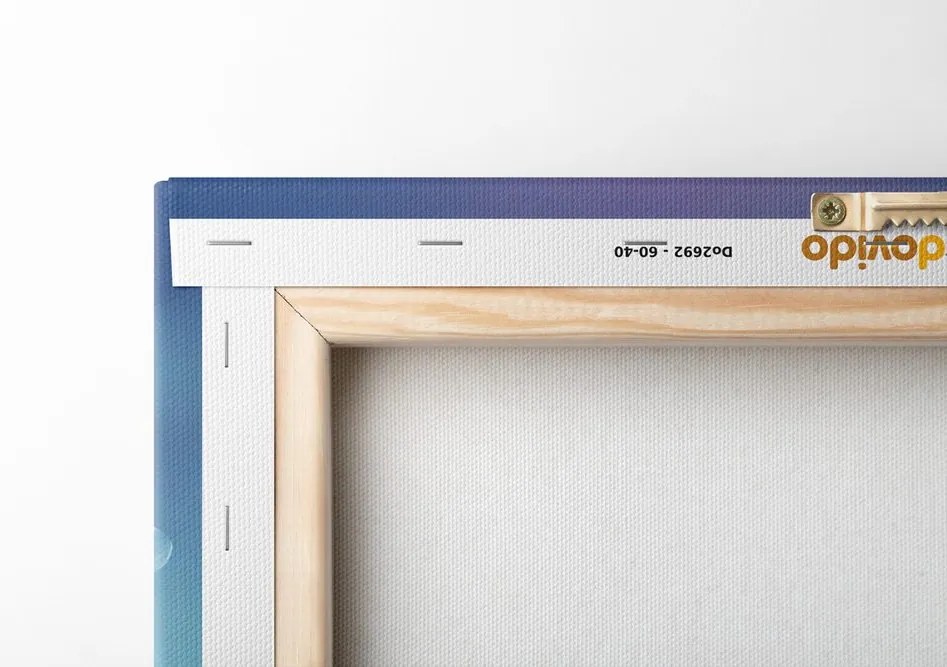 Quadro su tela – Polpo con cuffie