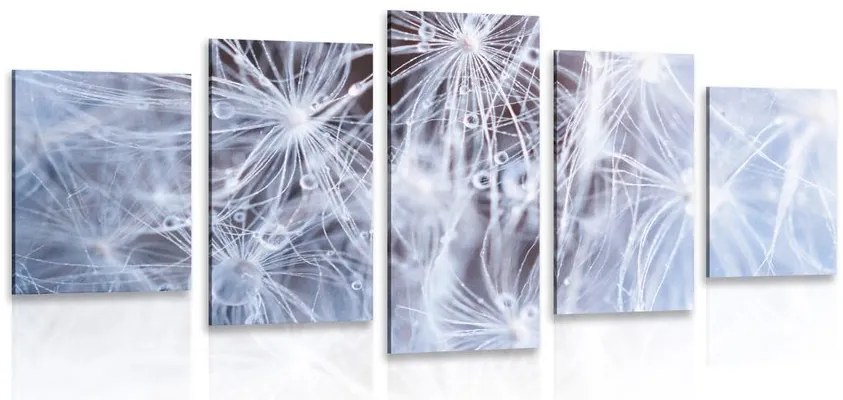 Quadri 5 pezzi – Macro dente di leone
