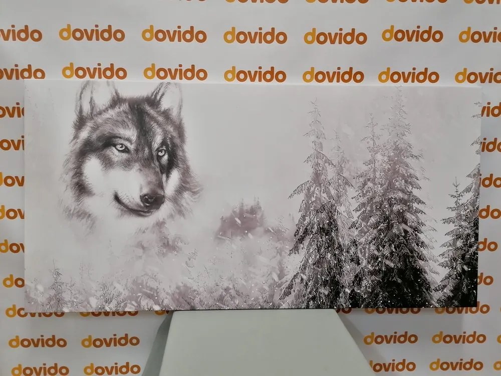 Quadro su tela – Lupo nel paesaggio innevato in bianco e nero