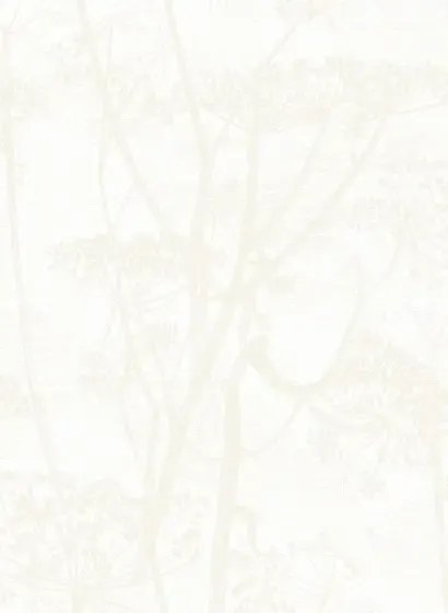 Cole & Son Carta da parati Cow Parsley - White on White