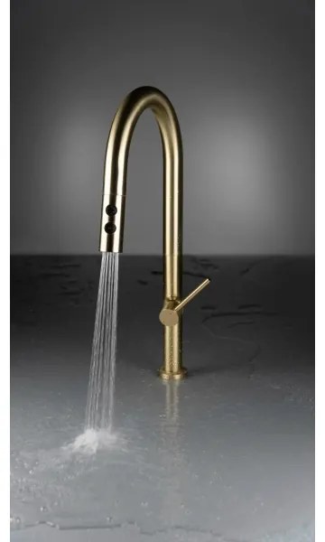 Deante BQO_R72M - Rubinetto lavello con doccetta estraibile OLFATO pettinato oro