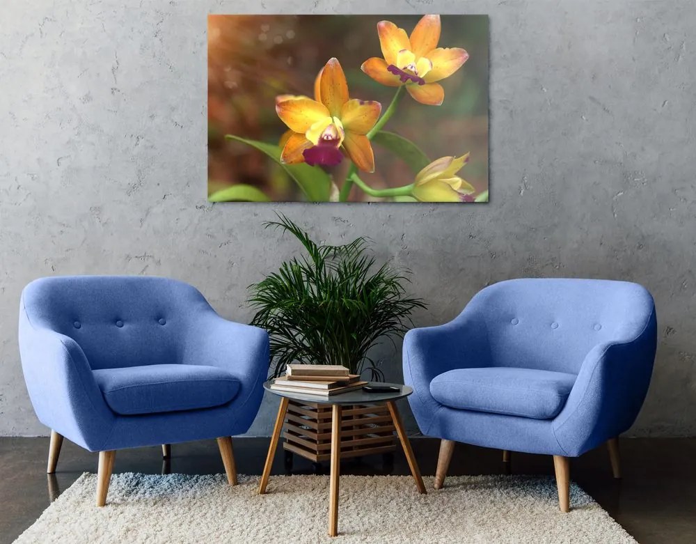 Stampa su tela – Orchidea arancione