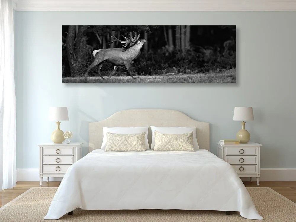 Quadro su tela – Cervo maestoso in bianco e nero