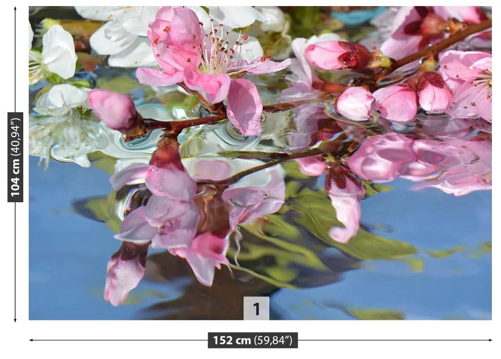 Carta da parati Fiore d'acqua ciliegia 104x70 cm