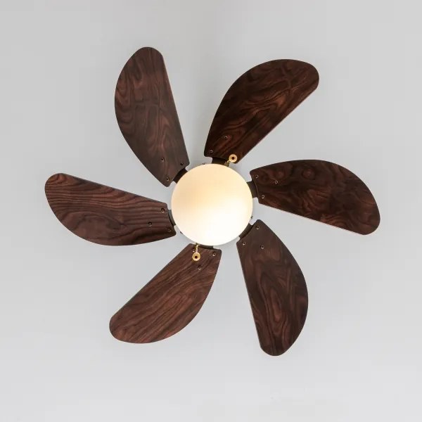 ZEVENTI - Ventilatore da soffitto FAMARA 1xE14/60W/230V