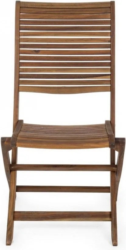 Set 2 Sedie da Giardino 50,5x64x93h cm Noemi Pieghevole...