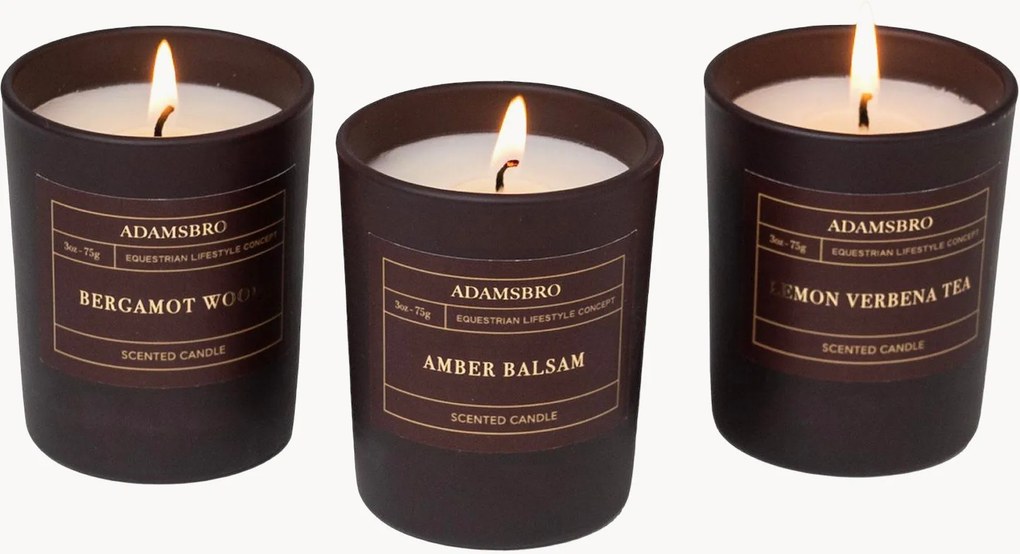 Set di 3 candele profumate Adamsbro (legno di bergamotto, ambra, verbena)