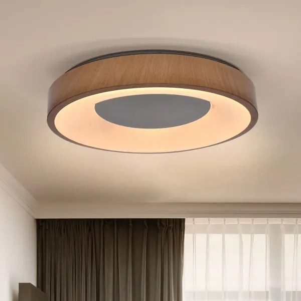 Brilagi - Lampada LED da soffitto dimmerabile DORIA LED/48W/230V 3000-6500K + DO