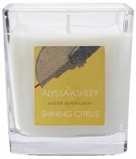 Candela Profumata Alyssa Ashley Shining Citrus 145 g