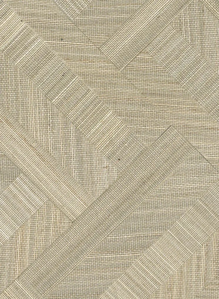 CMO Paris Tapete Abaca Zebre - Argent