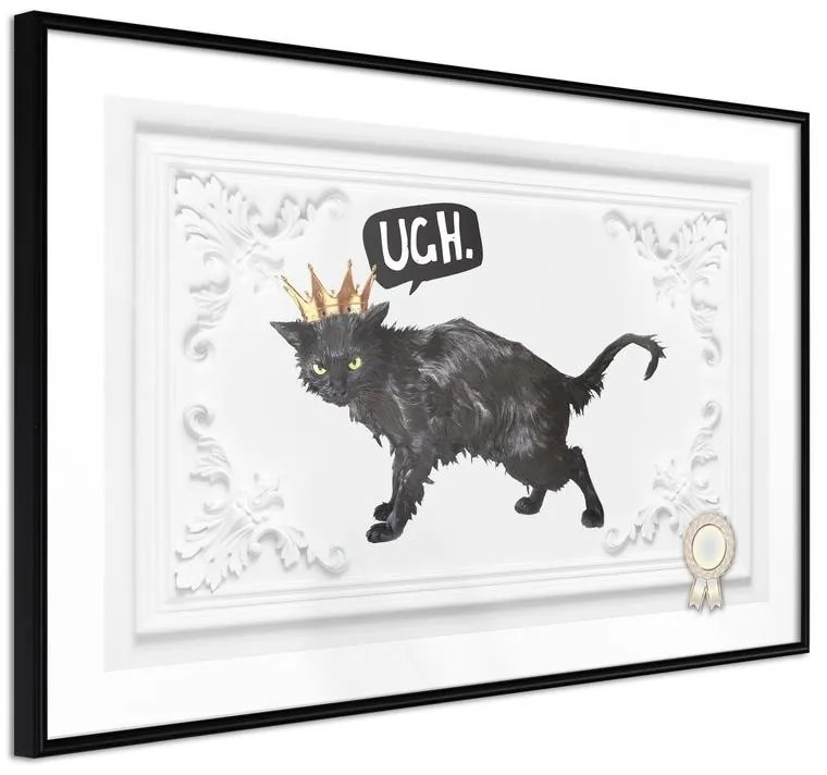 Poster  Cat Rules I  Cornice Quadri Cornice nera, Larghezza x Altezza Home decor 30x20