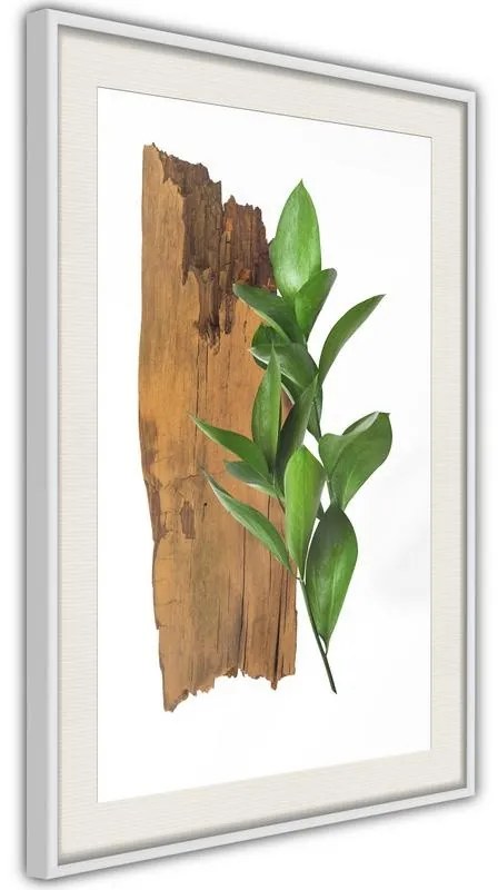 Poster  Forest Bouquet  Cornice Quadri Cornice d'oro con passe-partout, Larghezza x Altezza Home decor 30x45