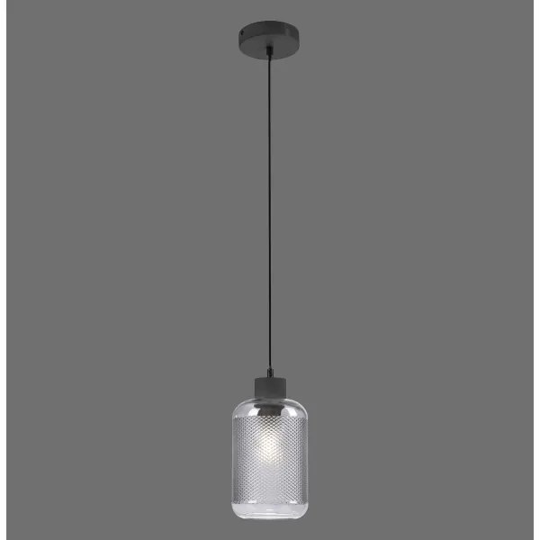 Paul Neuhaus 2006-25 - Lampadario a sospensione con filo BOLETUS 1xE27/10W/230V diametro 14 cm grigio