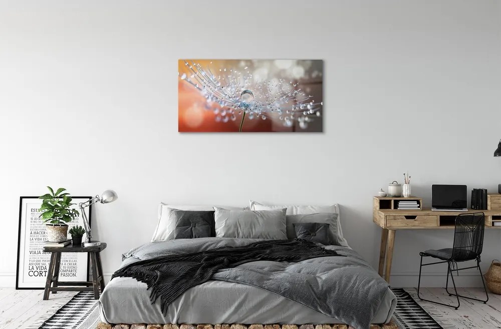 Quadro su vetro Macro gocce di mosconi 100x50 cm 2 appendini
