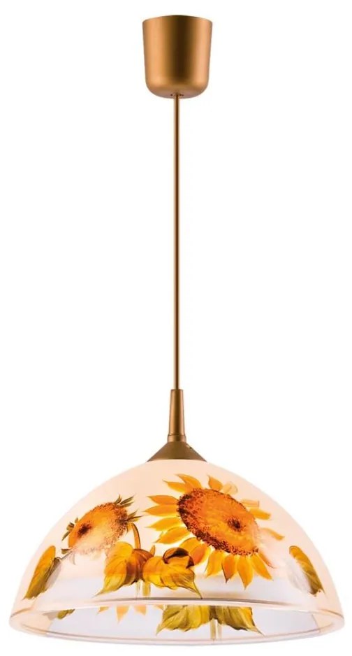 Lampadario a sospensione con filo 1xE27/60W/230V