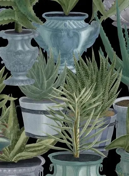 Tapete Echeveria von MINDTHEGAP - WP20163