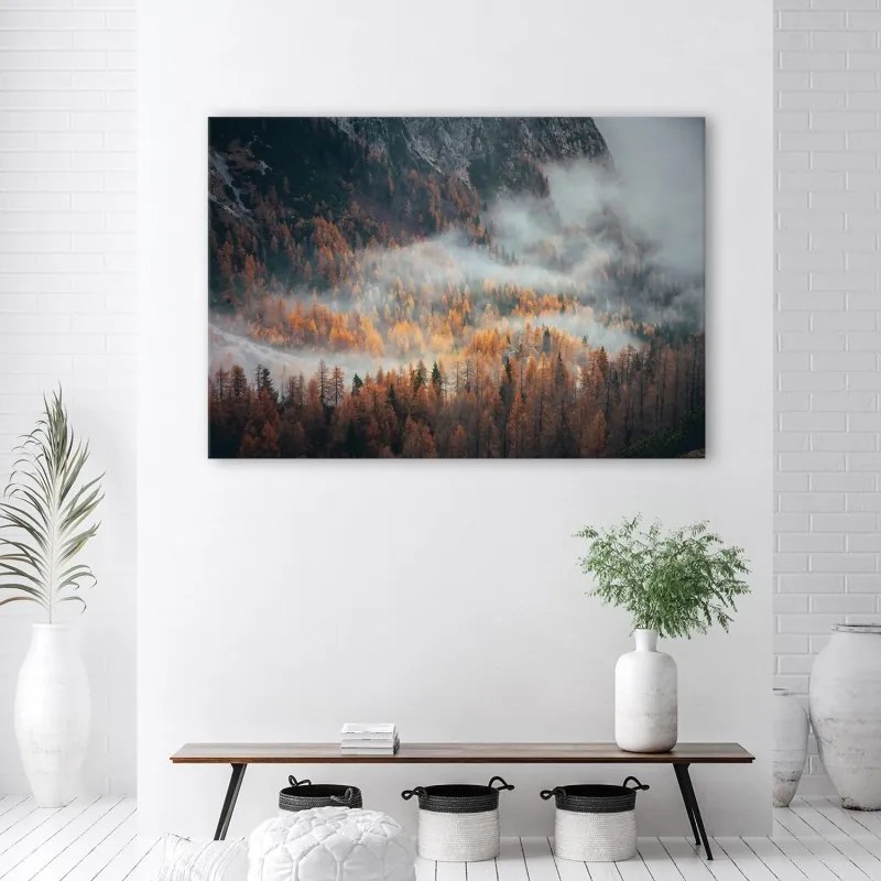 Quadro su tela, Foresta nella nebbia  Dimensioni 100x70